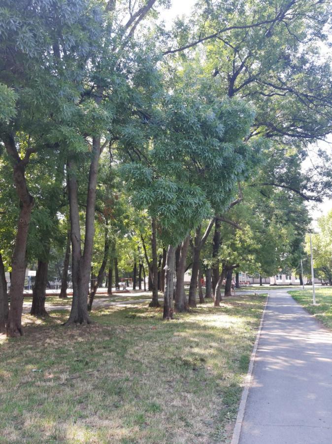 Apartman Sava River *